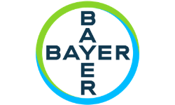 Bayer